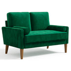 Sofa with Velvet, Small Modern Velvet 2-Seater Tufted Loveseat - Green option