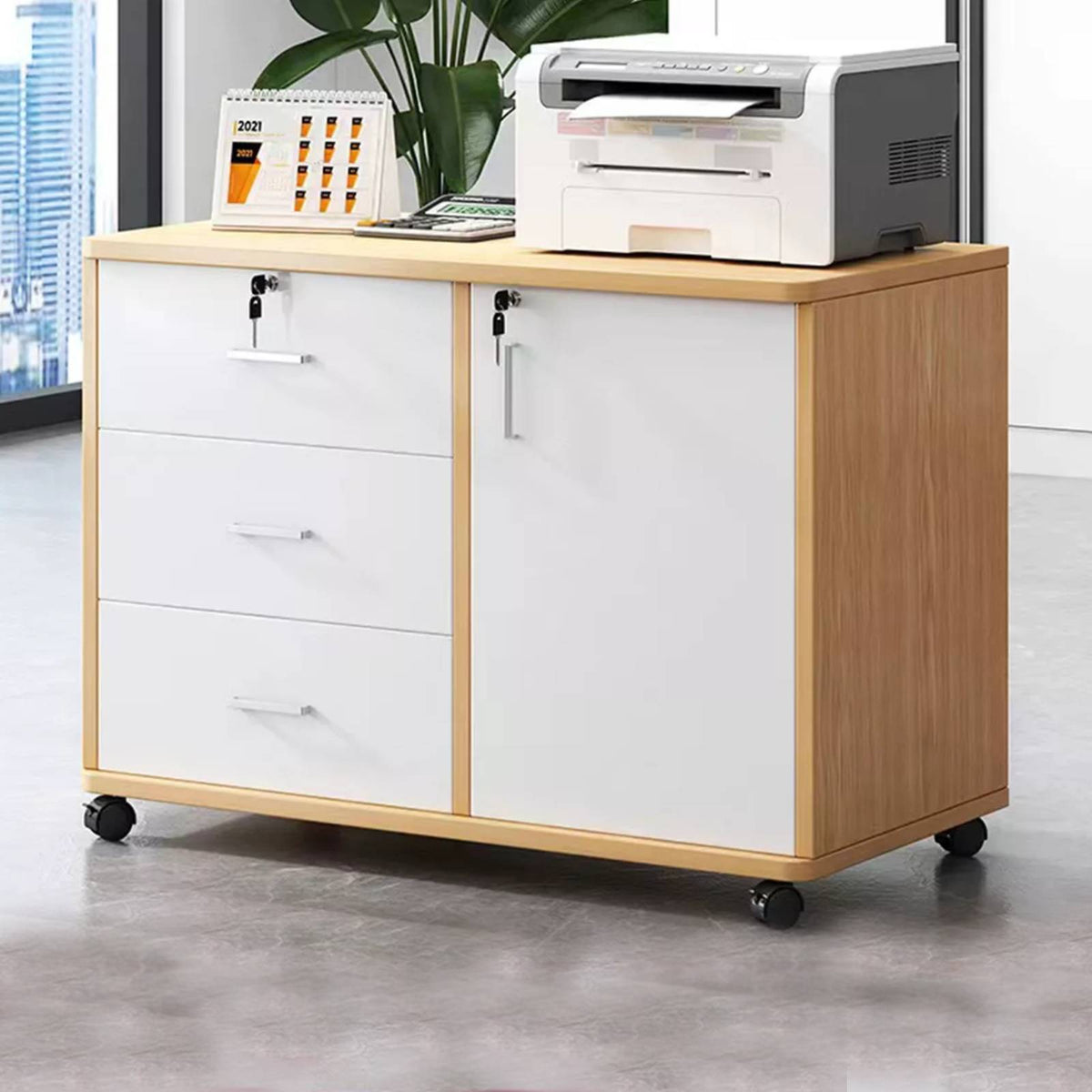 Storage Cabinet with Wheels, Lockable, Adjustable Shelf