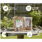Wild Bird Food with Airtight, 800g, 400g, Pack of 2 - Pack of 2 option
